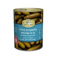 Product 7290020498373