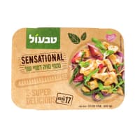נתחוני עוף טבעוני סנ