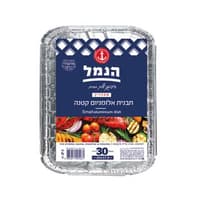 תבנית אלומיניום R29 קטנה 30 יח`