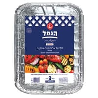 תבנית אלומיניום R99 ענק 9 יח`