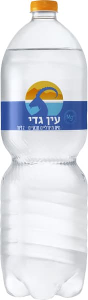 עין גדי מים מינרלים 2 ליטר
