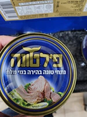 טונה בהירה במי מלח