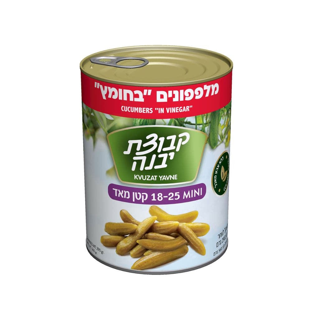 מלפפון בחומץ 18-25 540גר